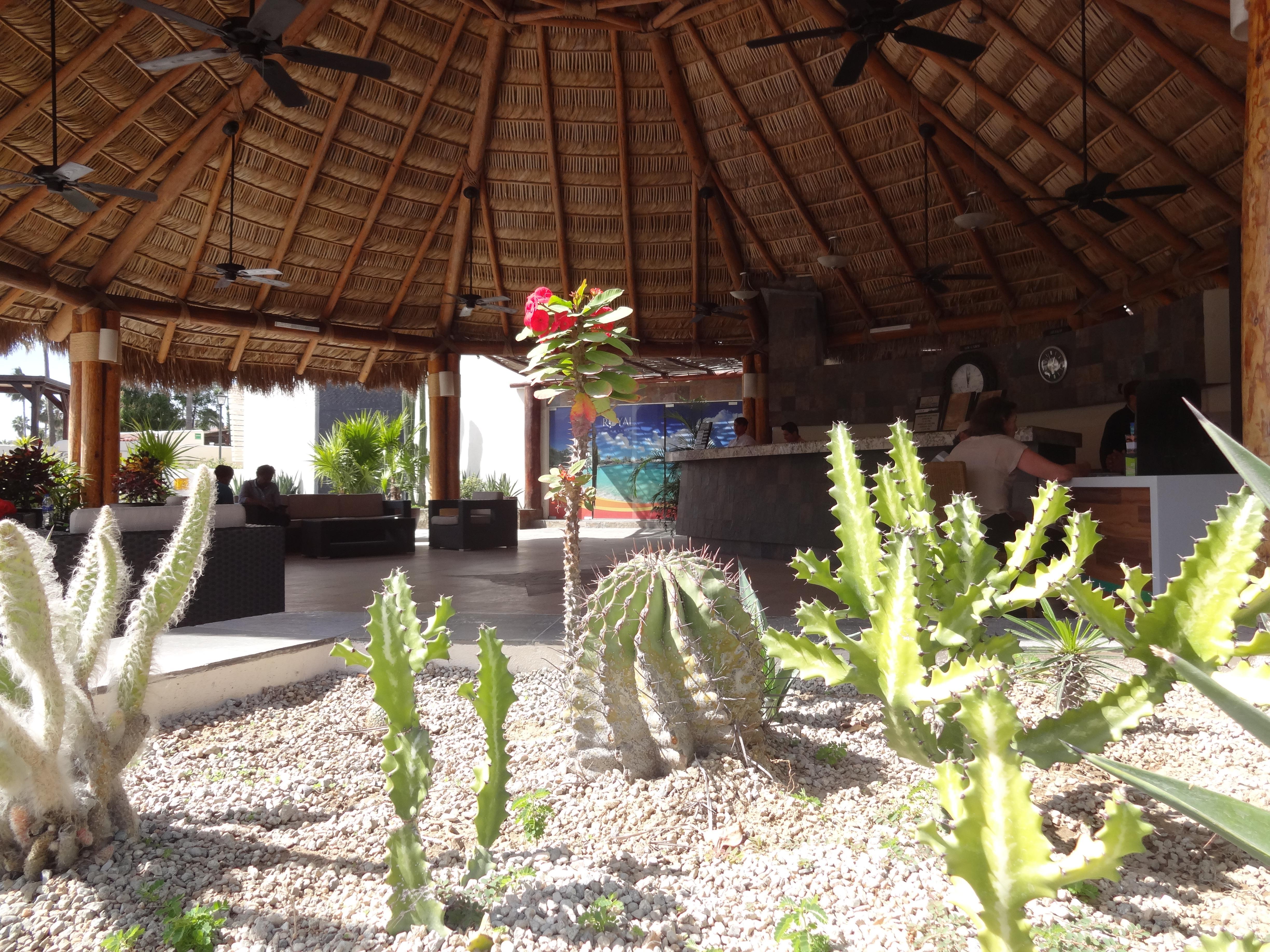 Park Royal Homestay Los Cabos San José del Cabo Exterior foto